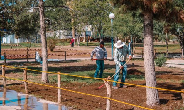Refuerza Estado áreas verdes del Parque Central con siembra de pasto