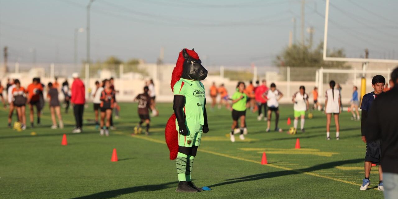 Los Bravos de Juárez imparten clínicas deportivas a estudiantes
