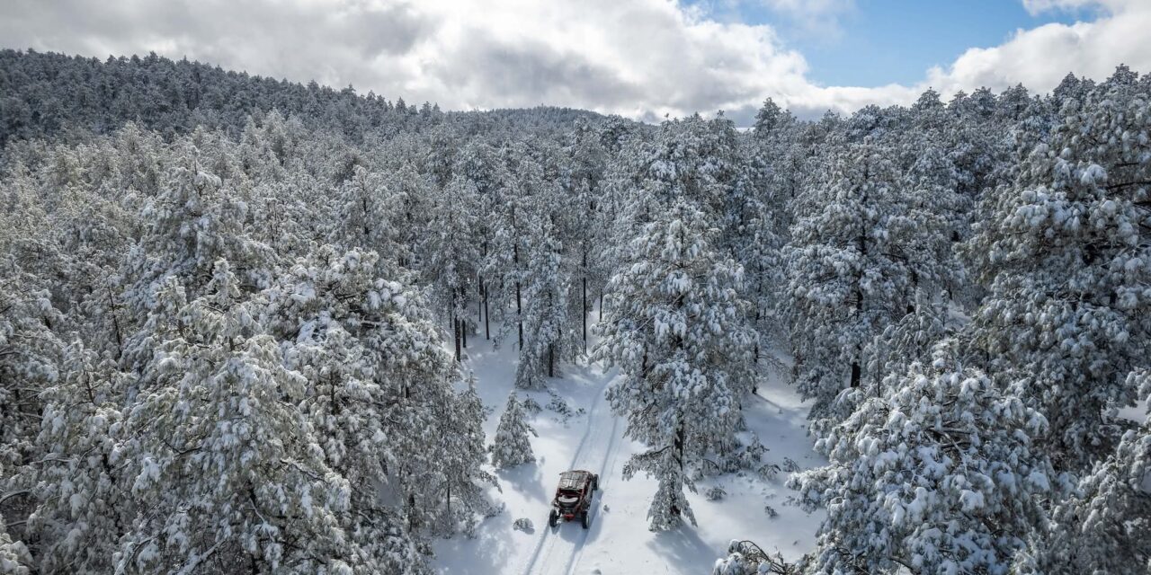 Emiten alerta por nevadas y fuerte descenso de temperatura en la Sierra de Chihuahua