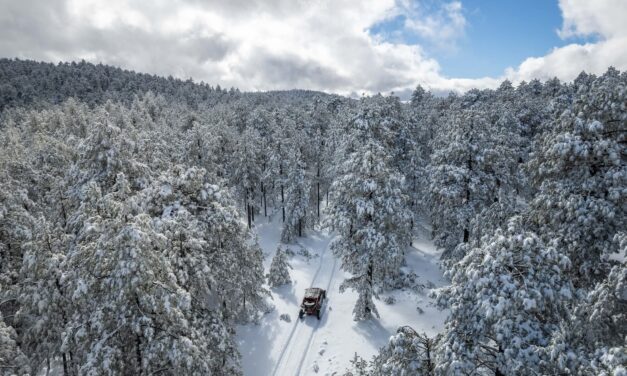 Emiten alerta por nevadas y fuerte descenso de temperatura en la Sierra de Chihuahua