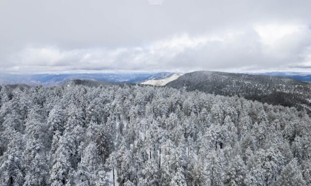Emiten alerta por nevadas y fuerte descenso de temperatura en la Sierra de Chihuahua