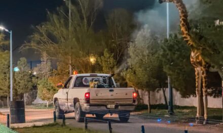 Concluye con éxito jornada de fumigación preventiva en el Parque Central