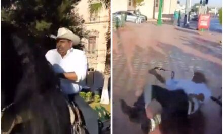 ¡Se le cansó el caballo… al Caballo! Diputado Alfredo Lozoya cae en plena grabación