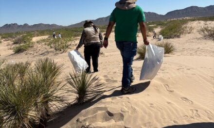 Invita Estado a la 2da Jornada de Limpieza “Somos el Desierto” en las Dunas de Samalayuca