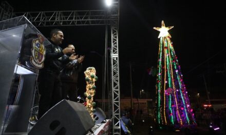 Encienden árbol navideño en Zaragoza