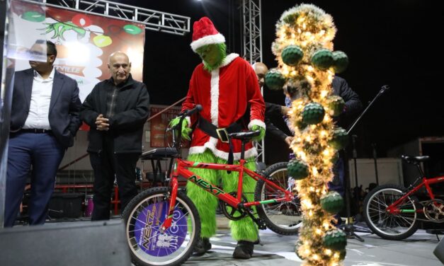 Encienden árbol navideño en Zaragoza