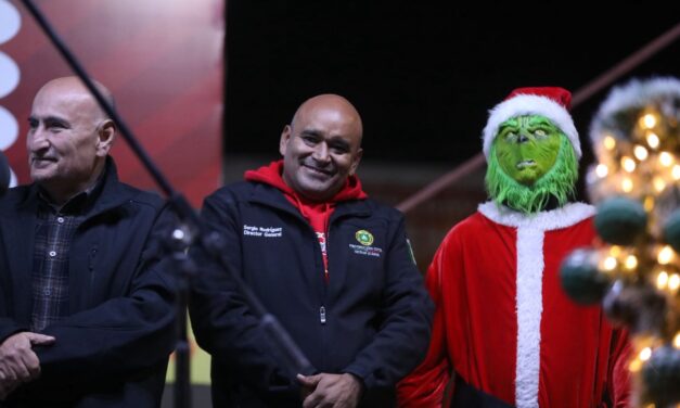 Encienden árbol navideño en Zaragoza