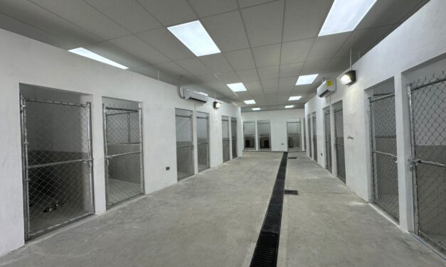 Supervisan avance de rehabilitación en el Centro de Bienestar Animal