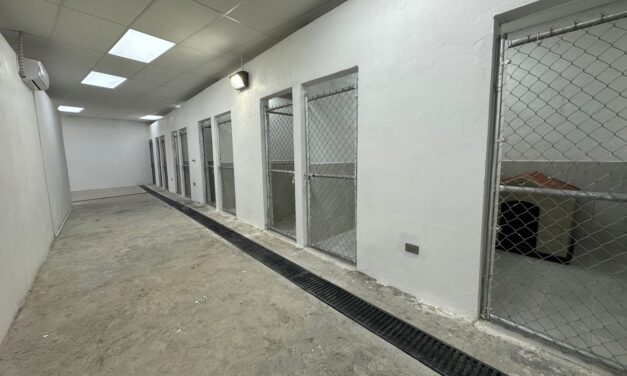 Supervisan avance de rehabilitación en el Centro de Bienestar Animal