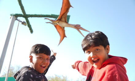 FECHAC invierte 5.2 mdp para renovar La Rodadora