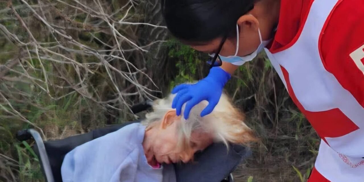 Indignante: cobardes abandonan a abuelita en plena carretera