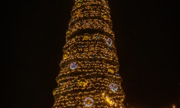 Juarenses celebran el encendido del Árbol de Navidad en el Parque Central
