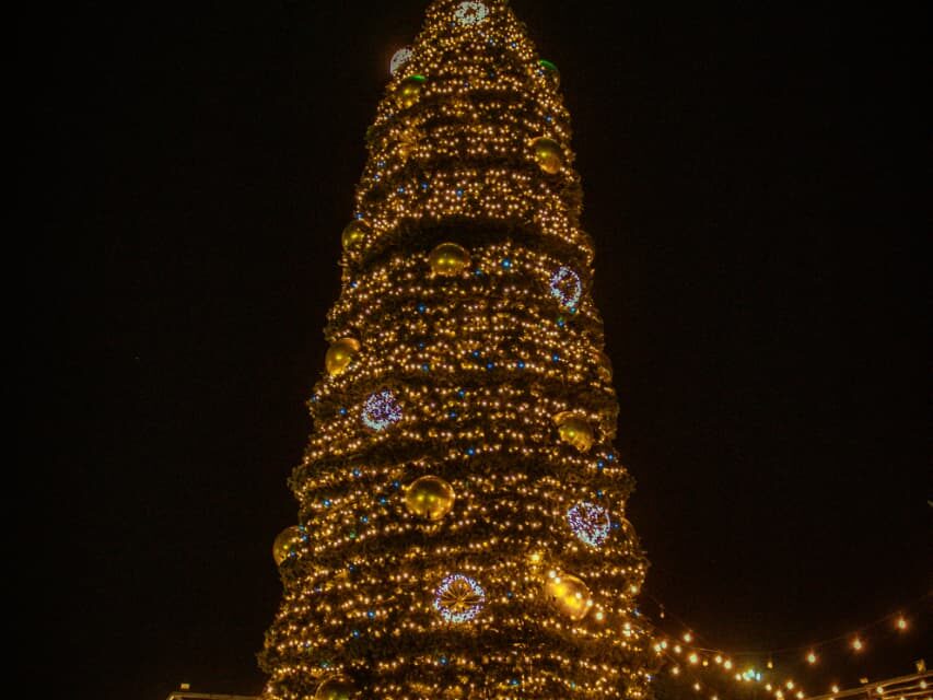 Juarenses celebran el encendido del Árbol de Navidad en el Parque Central