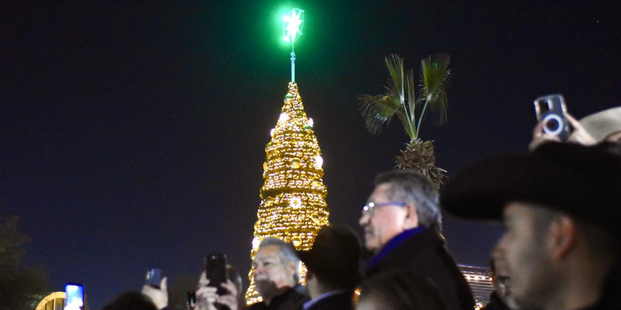 Juarenses celebran el encendido del Árbol de Navidad en el Parque Central
