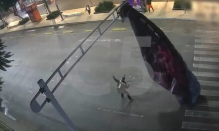 “Se queda colgado… ¡del semáforo!” Paracaidista estadounidense provoca sorpresa en el Centro Histórico