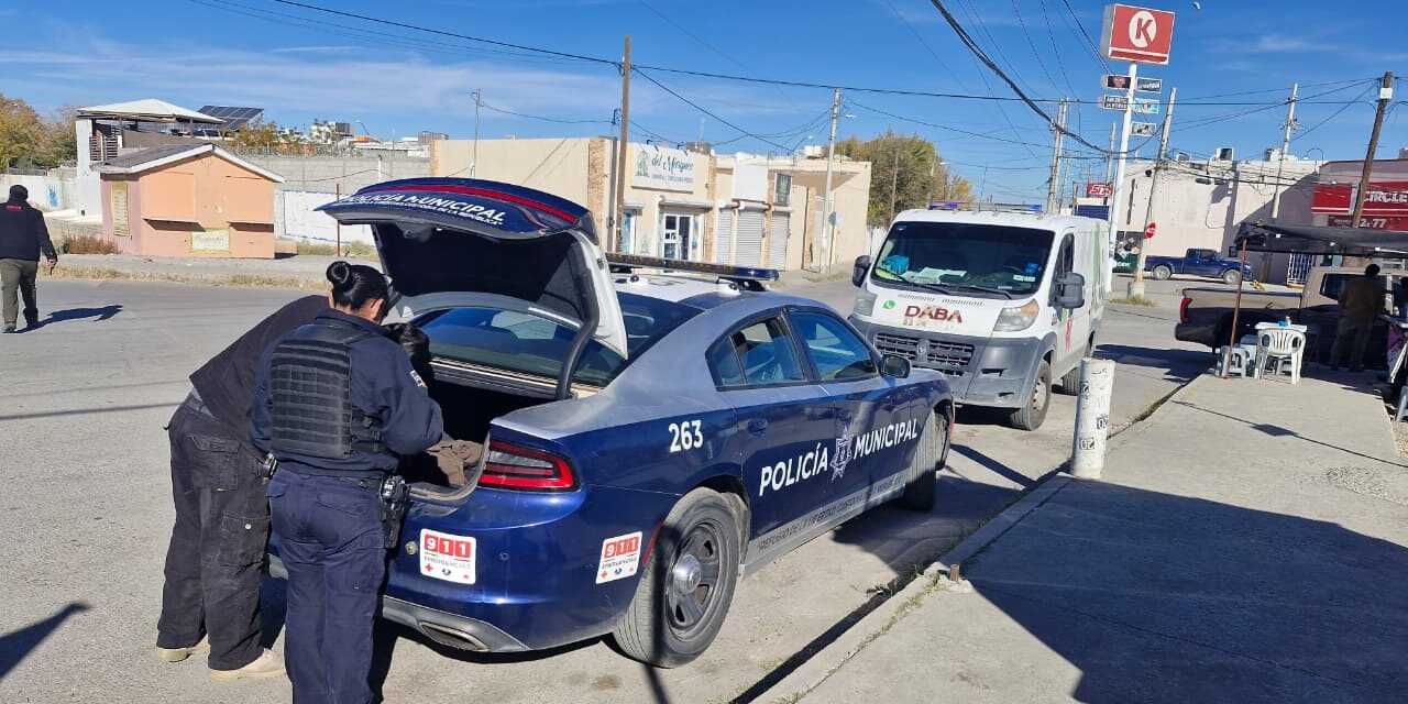 Resguardan Policías Municipales a siete cachorros abandonados