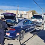 Resguardan Policías Municipales a siete cachorros abandonados