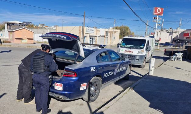 Resguardan Policías Municipales a siete cachorros abandonados