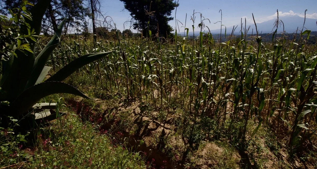 Gobernación llama a productores agrícolas a evitar bloqueos y mantener el libre tránsito