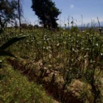 Gobernación llama a productores agrícolas a evitar bloqueos y mantener el libre tránsito