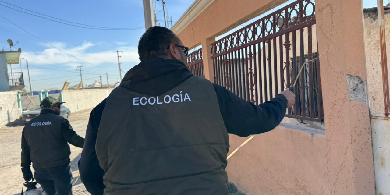 Fumiga Dirección de Ecología contra garrapatas en la colonia Campesina