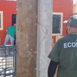 Ha fumigado Ecología más de 900 viviendas contra la garrapata