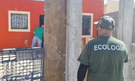 Ha fumigado Ecología más de 900 viviendas contra la garrapata