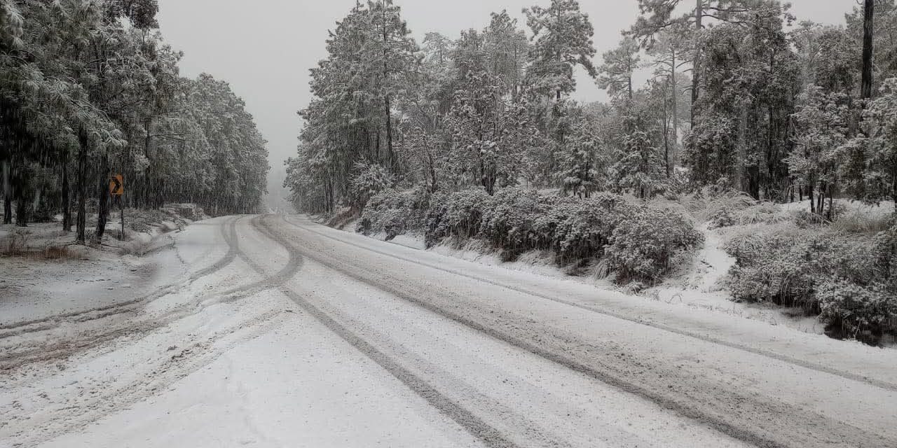 Nevadas cubren la Sierra de Chihuahua por frente frío y tormenta invernal