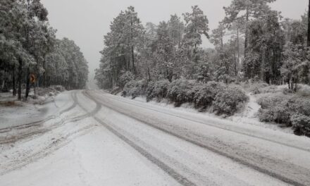 Nevadas cubren la Sierra de Chihuahua por frente frío y tormenta invernal