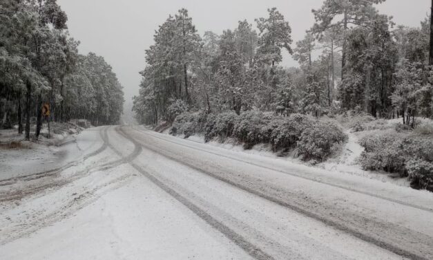Nevadas cubren la Sierra de Chihuahua por frente frío y tormenta invernal