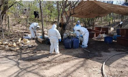 Marina desmantela tres laboratorios clandestinos y asegura más de 700 kilos de metanfetamina