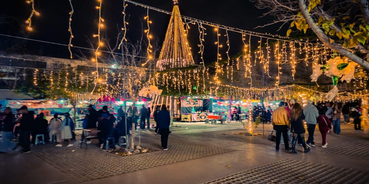 Cierra Parque Central temporada navideña con más de 319 mil visitantes
