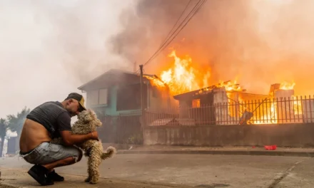 Incendios forestales en el sur de Chile dejan al menos 18 muertos y miles de damnificados
