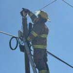 Rescatan a gato atrapado a 10 metros de altura en la colonia Altavista