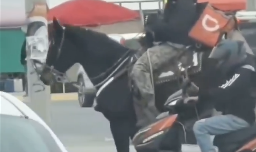 Repartidor de DiDi hace entrega de pedidos montado a caballo en Juárez, Nuevo León