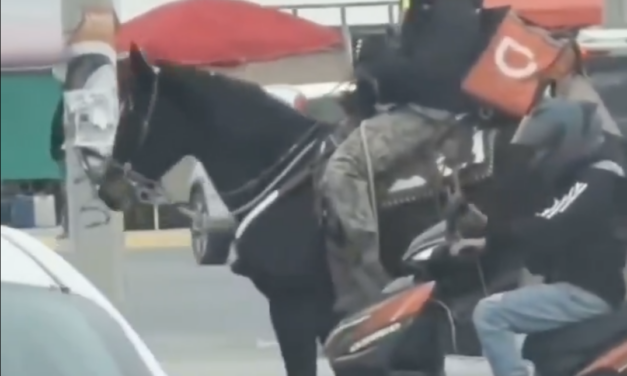 Repartidor de DiDi hace entrega de pedidos montado a caballo en Juárez, Nuevo León