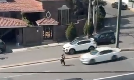 Se arroja a los autos en avenida de Monterrey y queda gravemente herida