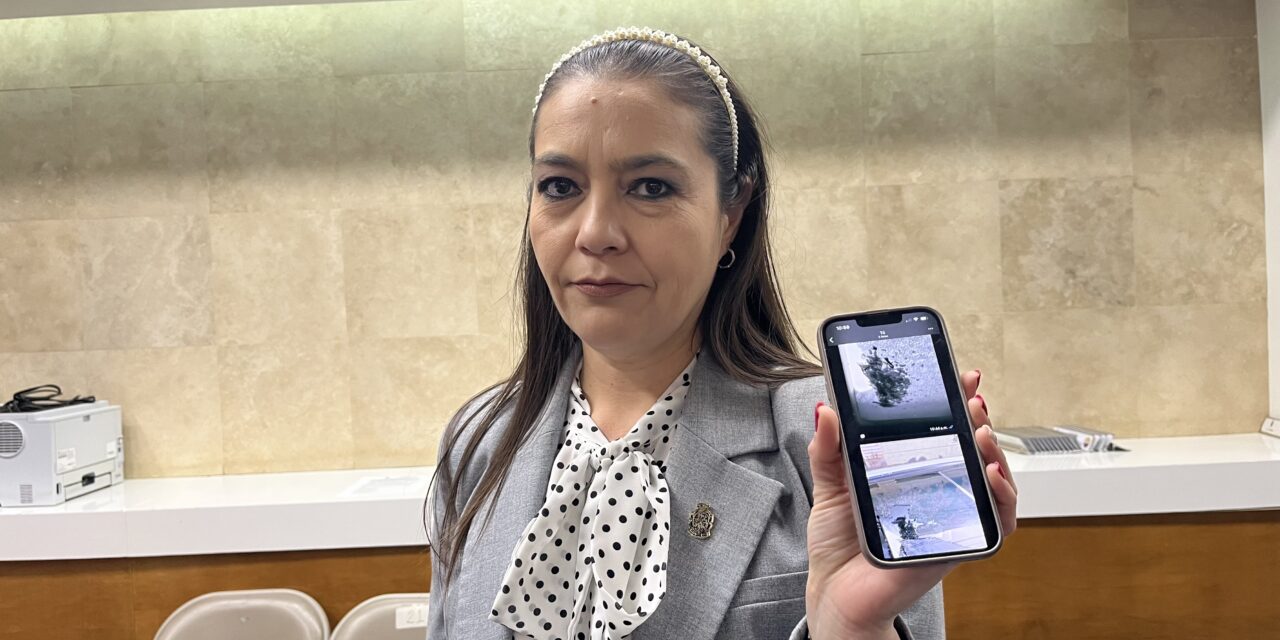 💥 Denuncian caída de vidrios desde la “Torre Centinela”; acusan negligencia y riesgo para ciudadanos
