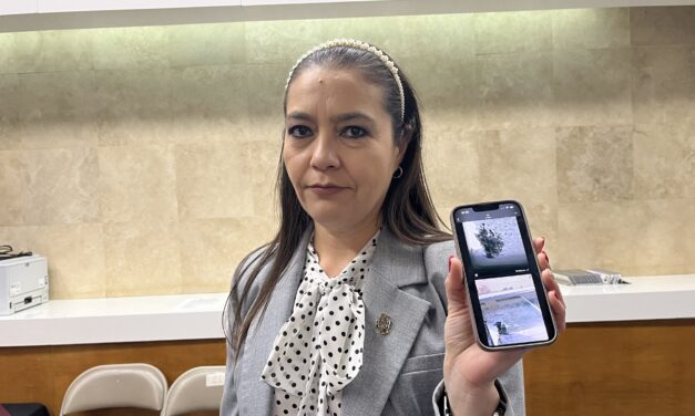 💥 Denuncian caída de vidrios desde la “Torre Centinela”; acusan negligencia y riesgo para ciudadanos