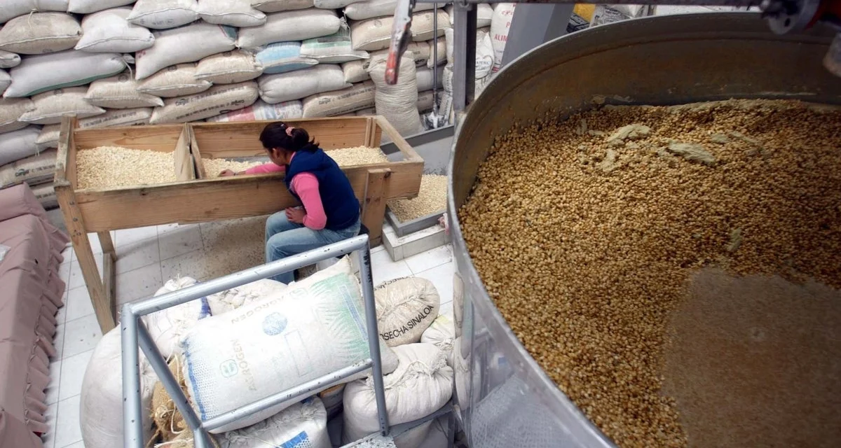 Importaciones de maíz marcan récord histórico al inicio de 2026