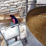 Importaciones de maíz marcan récord histórico al inicio de 2026