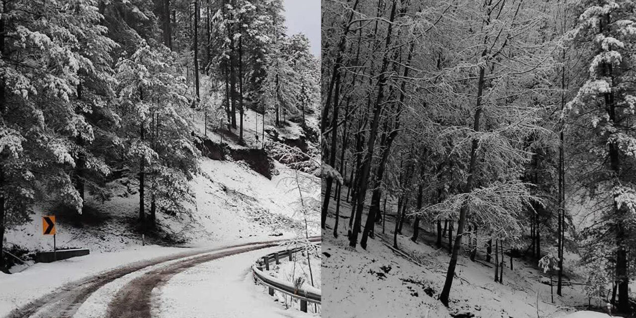 Postales invernales en la Sierra de Chihuahua