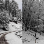 Postales invernales en la Sierra de Chihuahua