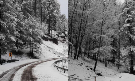 Postales invernales en la Sierra de Chihuahua