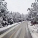 ¡Marzo se pinta de blanco! Tormenta invernal provoca nevadas y aguanieve en Chihuahua