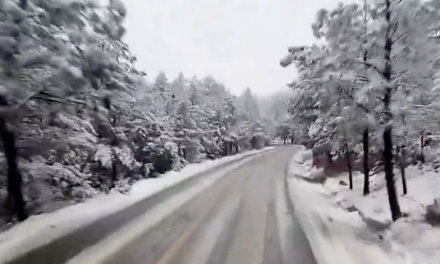 ¡Marzo se pinta de blanco! Tormenta invernal provoca nevadas y aguanieve en Chihuahua