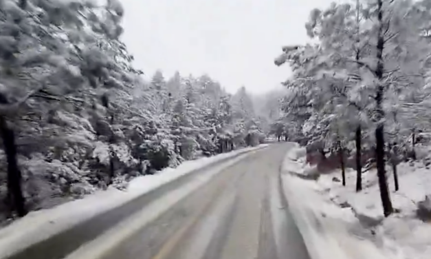 ¡Marzo se pinta de blanco! Tormenta invernal provoca nevadas y aguanieve en Chihuahua