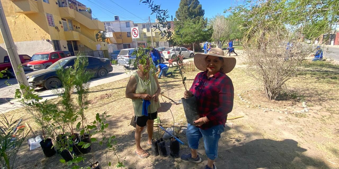 Impulsa Gobierno del Estado jornada de reforestación en Infonavit Casas Grandes