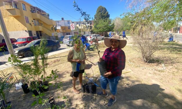 Impulsa Gobierno del Estado jornada de reforestación en Infonavit Casas Grandes