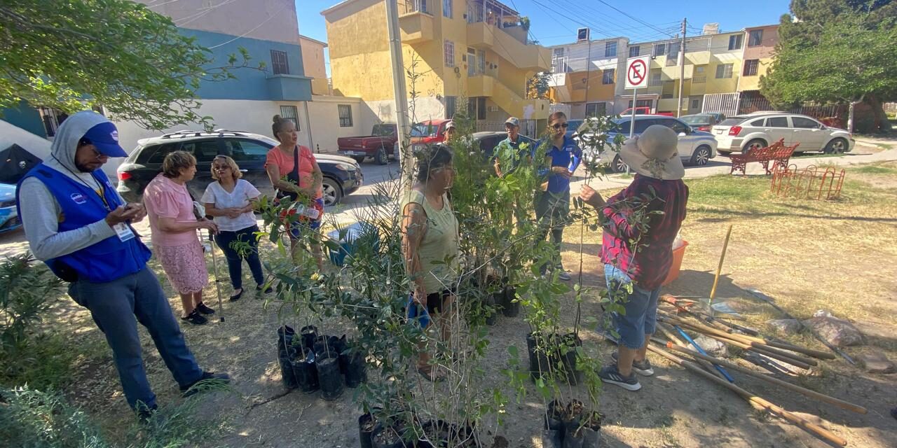 Impulsa Gobierno del Estado jornada de reforestación en Infonavit Casas Grandes